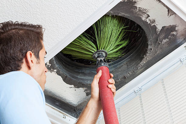 Best Ductwork Cleaning Services  in Bethel, NC